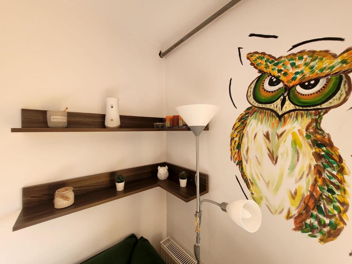 Dds Apartment 브라쇼브 외부 사진