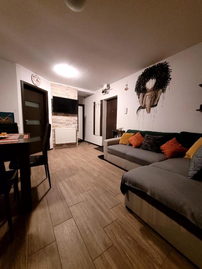 Dds Apartment 브라쇼브 외부 사진